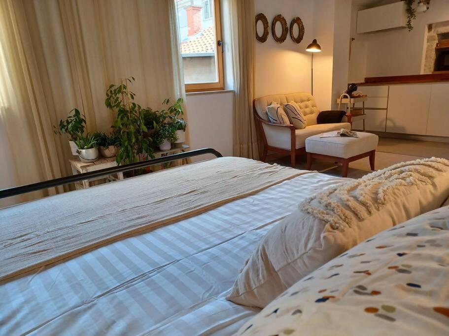 Apartmán Tres Virtutes